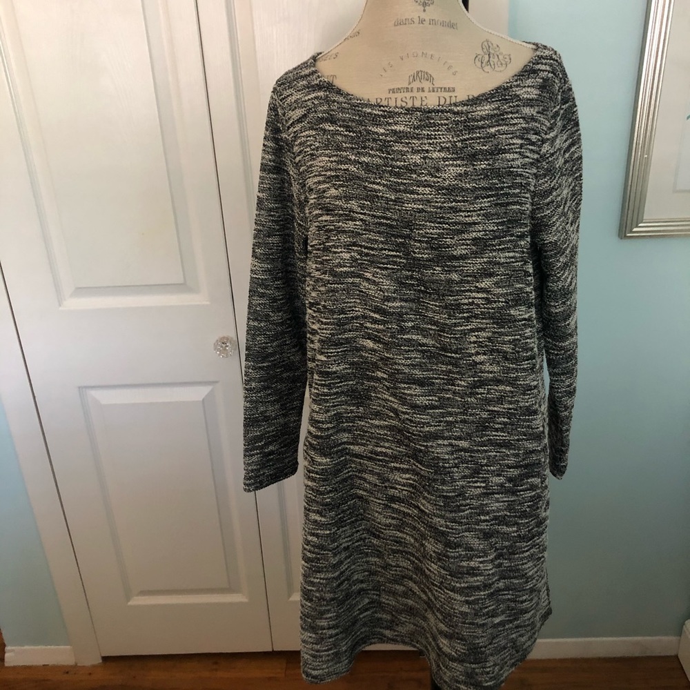 NWT Gap Dress Women’s Knee-length Dress